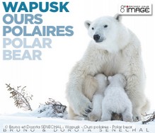 Bruno et Dorota SENECHAL - Wapusk - Ours polaires - Polar bear.jpg
