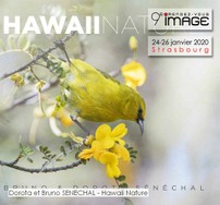 Dorota et Bruno SENECHAL - Hawaii Nature.jpg