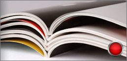 Catalogue