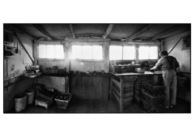 Philippe-Marchand-08-Oyster-farmer_Small.jpg